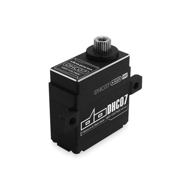 12th SCALE HIGH VOLTAGE SERVO
