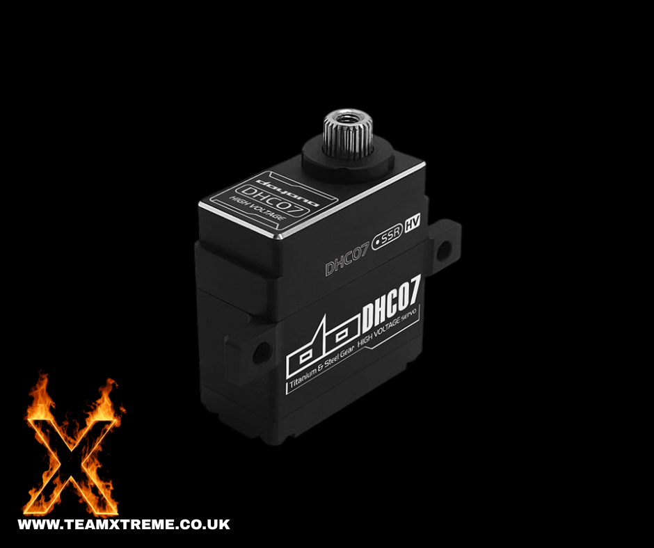 12th SCALE HIGH VOLTAGE SERVO