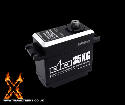 10th SCALE DC Digital Servo