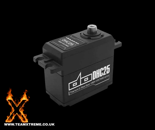 10th SCALE HIGH VOLTAGE SERVO